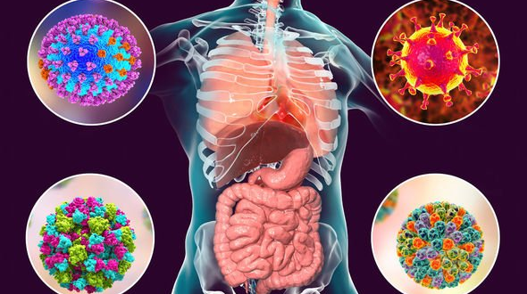 Covid-19 infectious disease survey